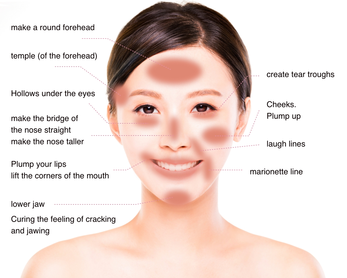 ＜Popular areas of the face＞