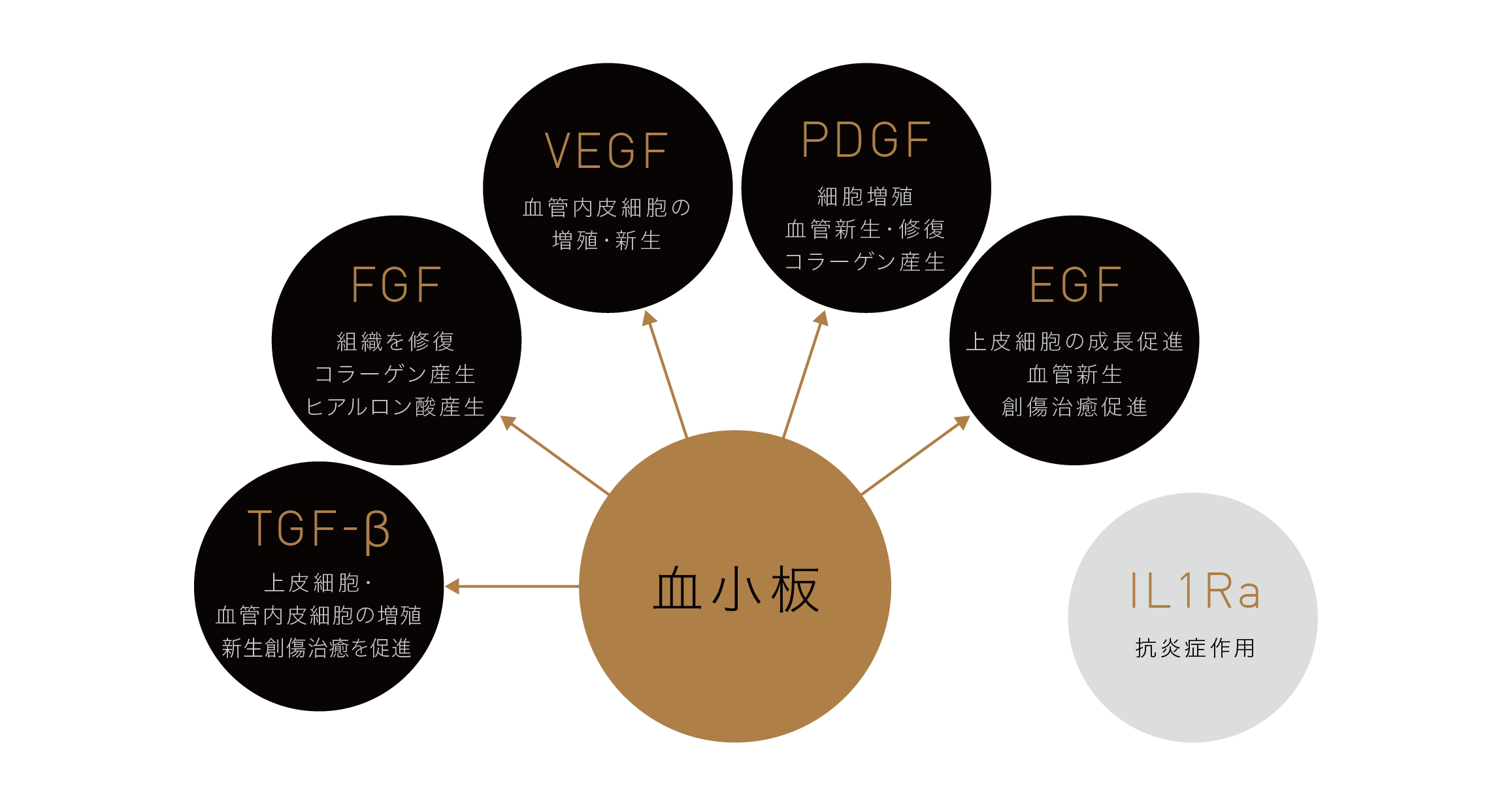 PRPよりも豊富な成長因子を含有