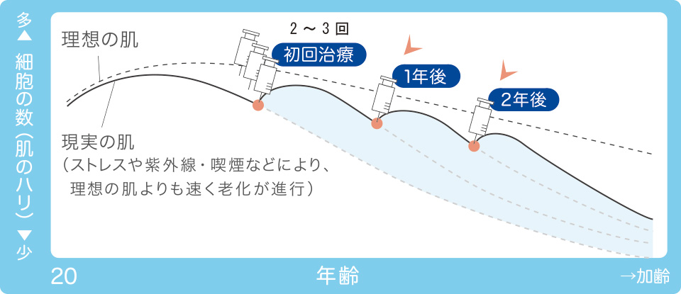 理想の肌曲線