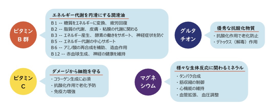 ビタミンB群 エネルギー代謝を円滑にする潤滑油 B1 -- 糖質をエネルギーに変換、疲労回復 B2 -- 脂質の代謝、皮膚・粘膜の代謝に関わる B3 -- エネルギー産生、酵素の働きをサポート、神経症状を防ぐ B5 -- エネルギー代謝の中心サポート B6 -- アミノ酸の再合成を補助、造血作用 B12 -- 赤血球生成、神経の健康を維持 グルタチオン 優秀な抗酸化物質 抗酸化作用で老化防止 デトックス（解毒）作用 ビタミンC ダメージから細胞を守る コラーゲン生成に必須 抗酸化作用で老化予防 免疫力増強 マグネシウム 様々な生体反応に関わるミネラル タンパク合成 筋収縮の制御 心機能の維持 血管拡張、血圧調整